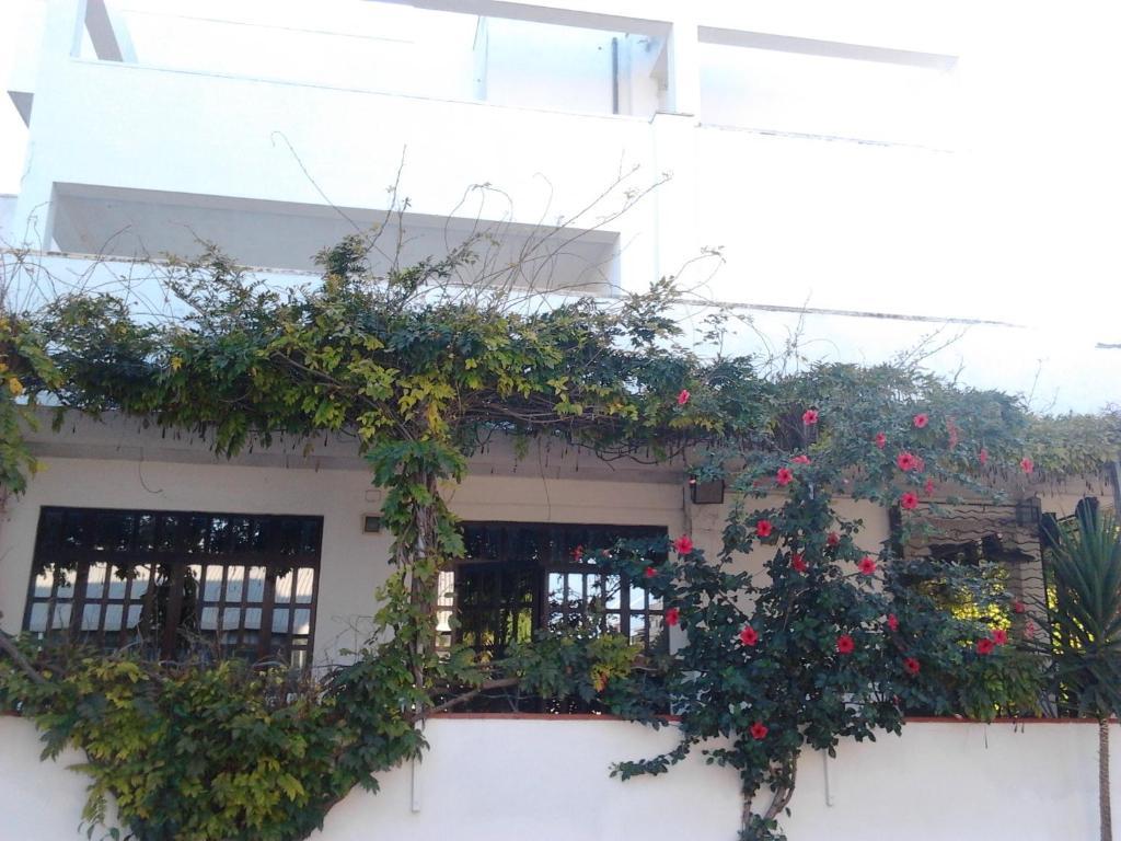Hotel Calla' Policoro Zewnętrze zdjęcie